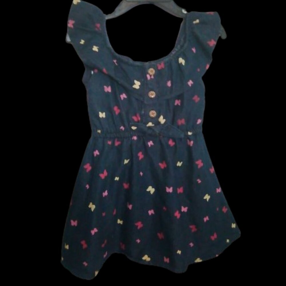 Fluttering Wings Toddler Jean Dress